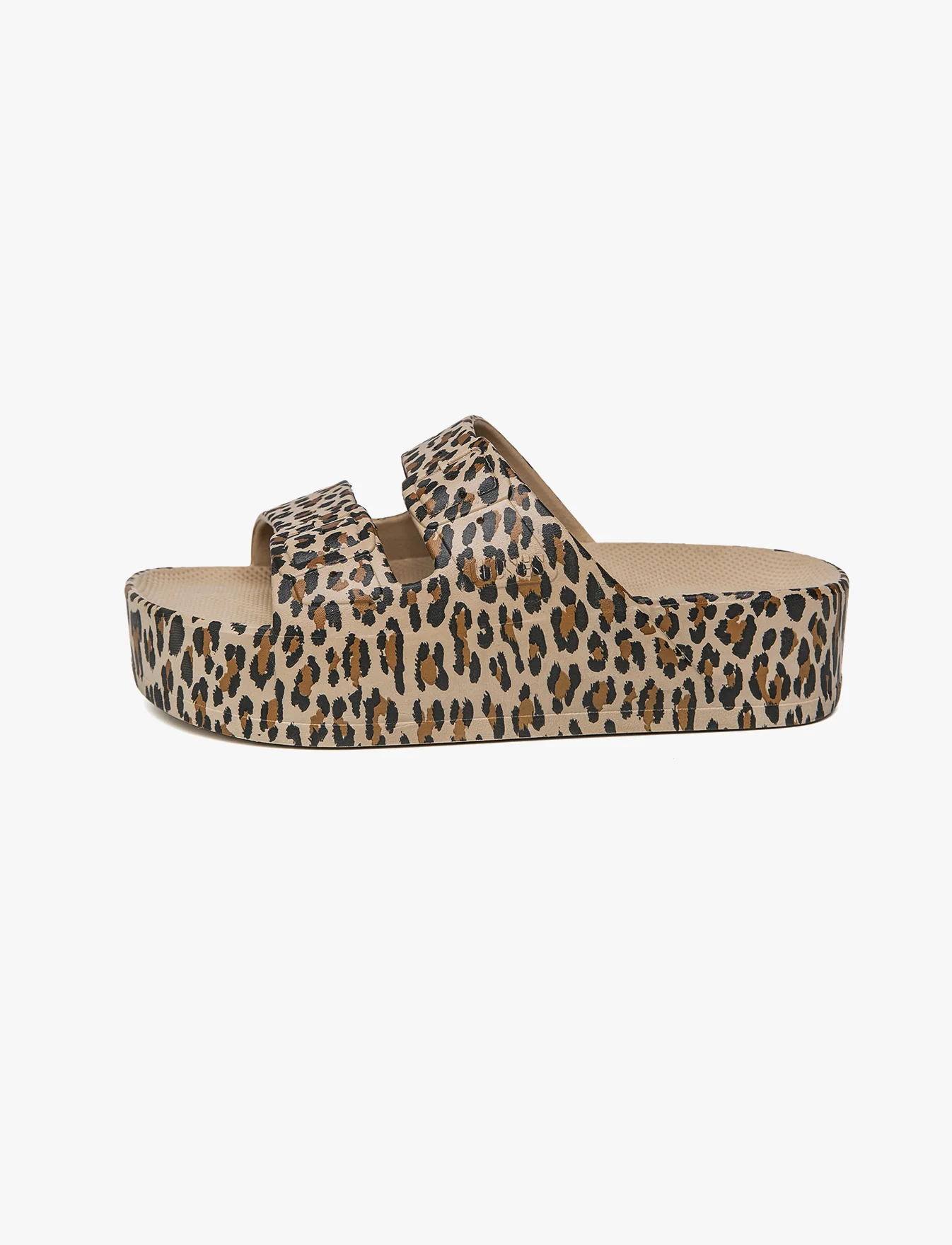 תמונת מוצר 2